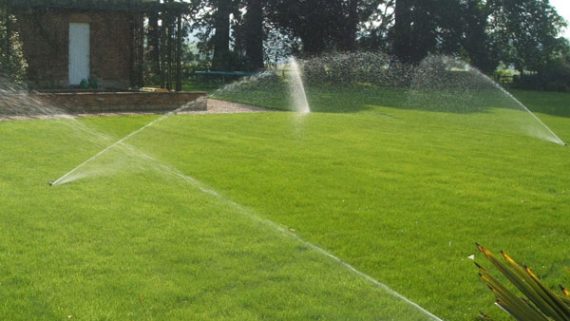 Automatic Watering System